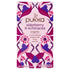 Pukka Tea Herbs Elderberry & Echinacea 20 Tea Bags